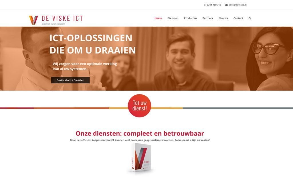 De Viske ICT screenshot website